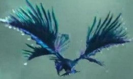 九天玄鸟在线免费观看